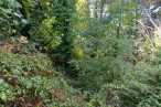 à vendre Terrain Saint Cast Le Guildo