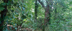 vente Terrain Saint Cast Le Guildo