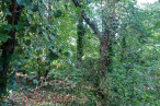 à vendre Terrain Saint Cast Le Guildo