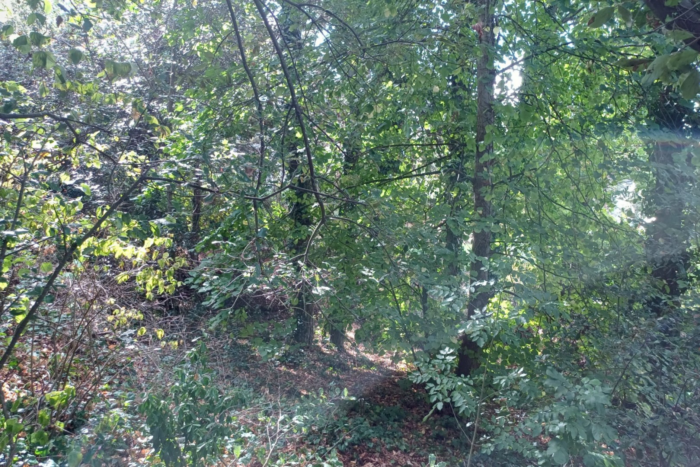 à vendre Terrain Saint Cast Le Guildo - Photo 1