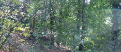 vente Terrain Saint Cast Le Guildo