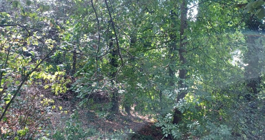 vente Terrain Saint Cast Le Guildo