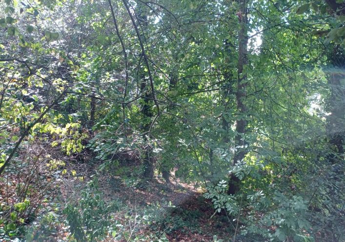 à vendre Terrain Saint Cast Le Guildo