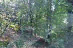 à vendre Terrain Saint Cast Le Guildo