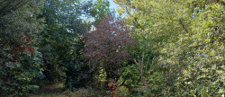 vente Terrain Saint Cast Le Guildo