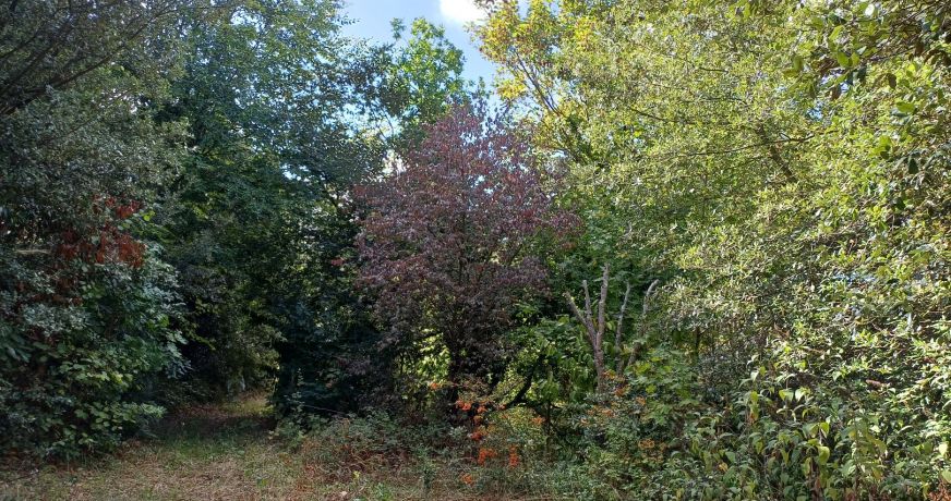 vente Terrain Saint Cast Le Guildo