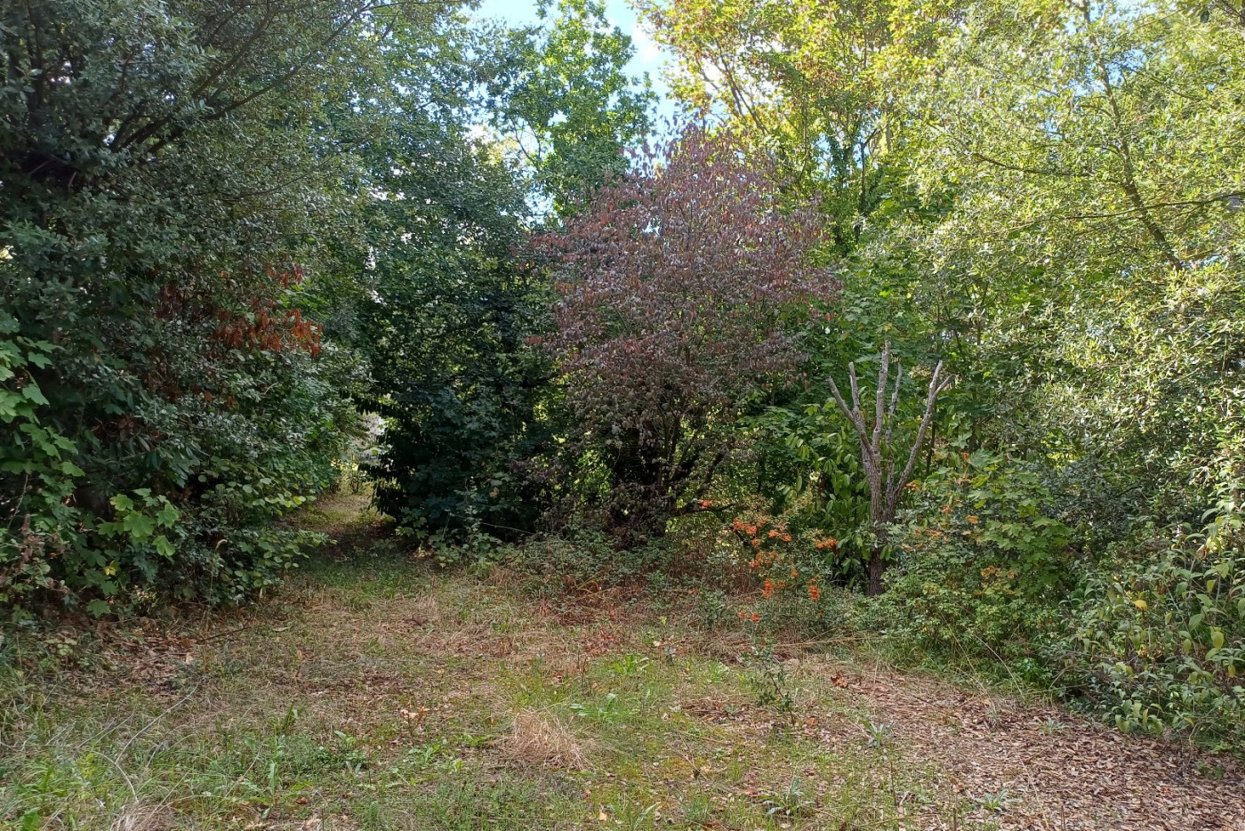 à vendre Terrain Saint Cast Le Guildo - Photo 2