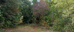 vente Terrain Saint Cast Le Guildo