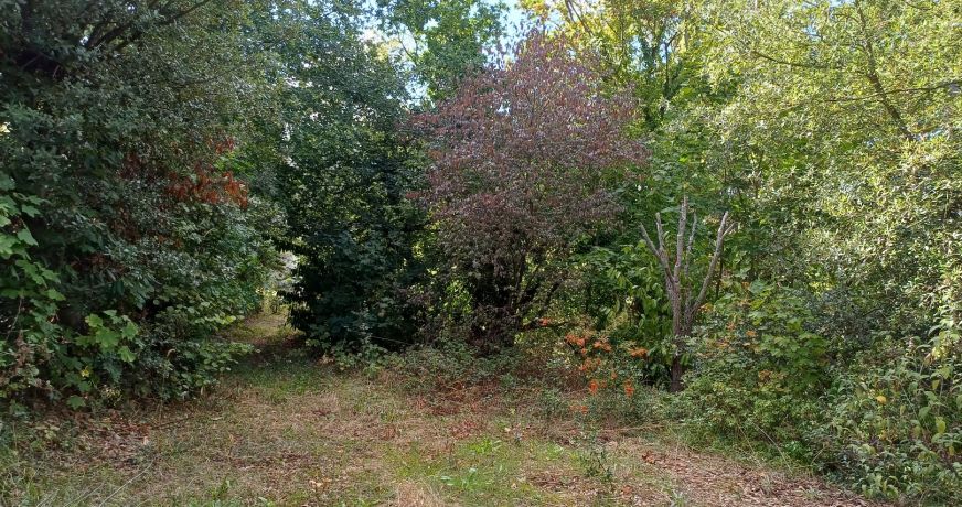 vente Terrain Saint Cast Le Guildo
