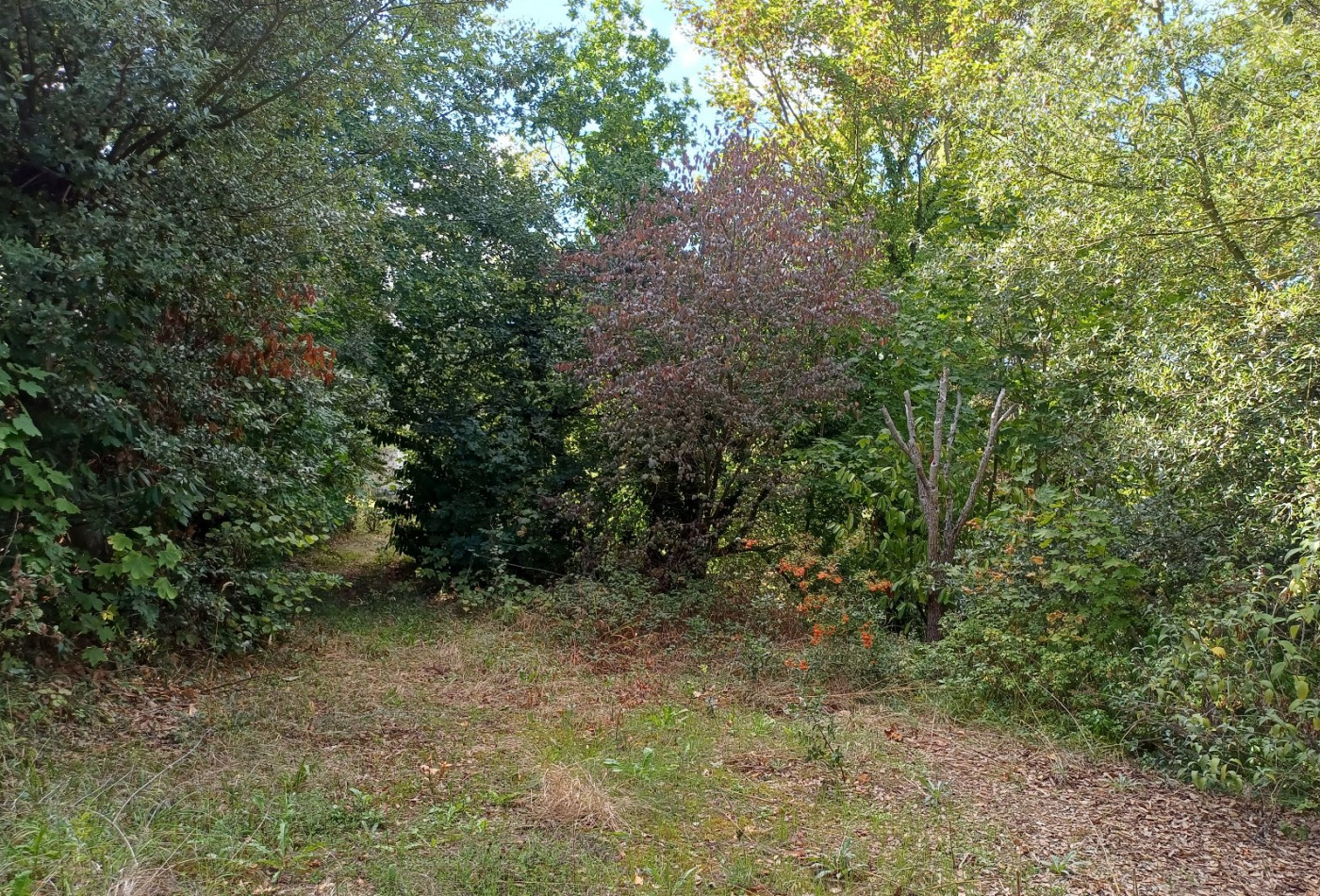 vente Terrain Saint Cast Le Guildo - Photo 2