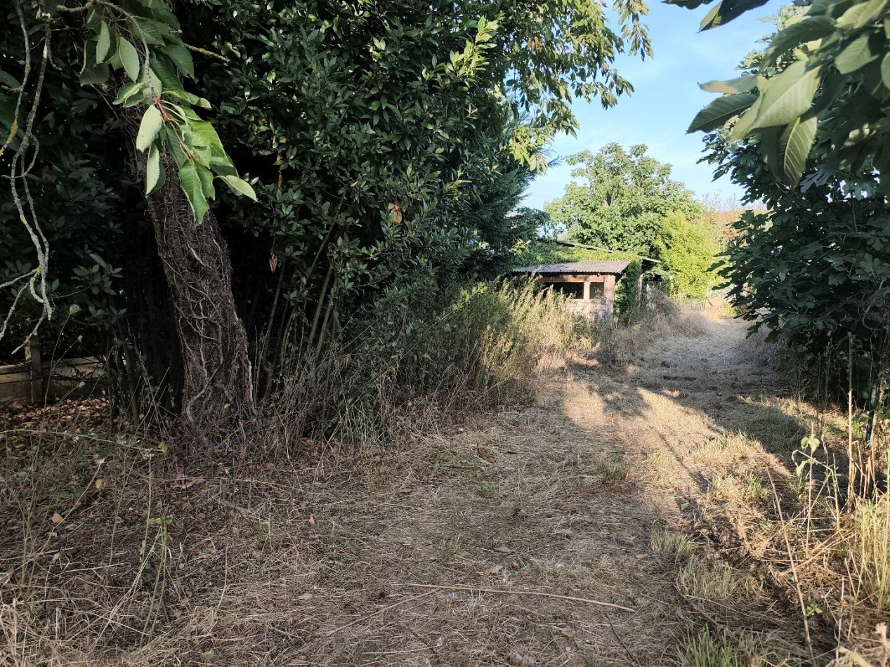 à vendre Maison rénovée Sin Le Noble - Photo 10