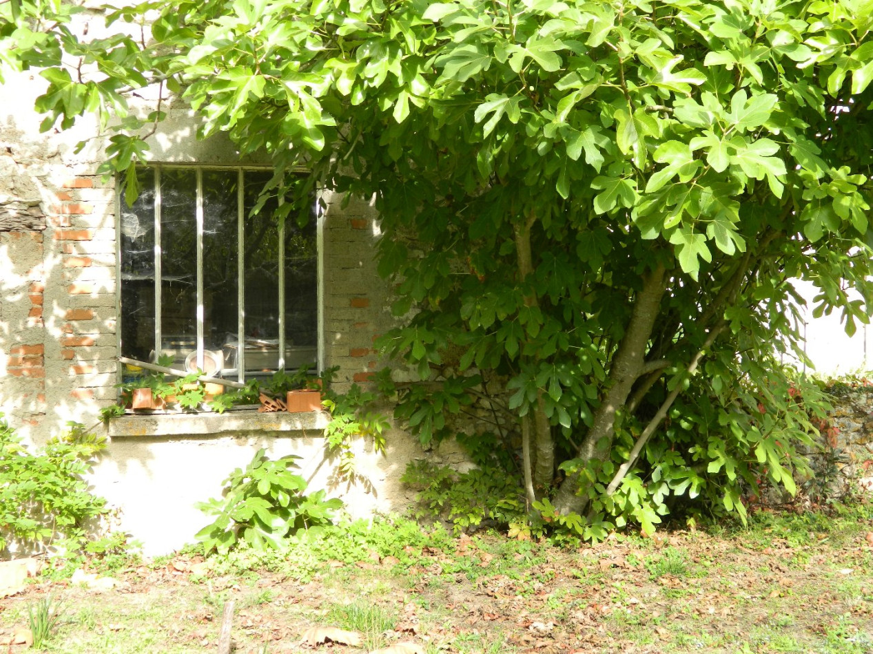 à vendre Maison de village Suevres - Photo 5