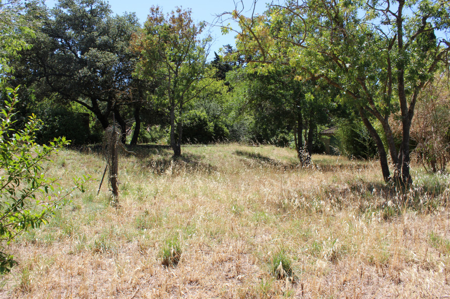 vente Terrain Villeneuve-lÈs-avignon - Photo 1