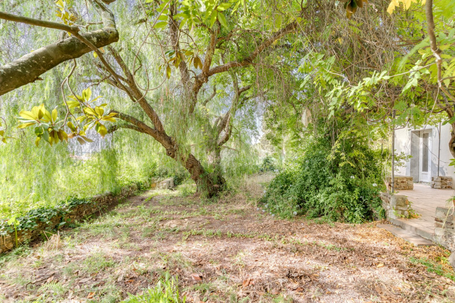 vente Maison Six Fours Les Plages - Photo 4