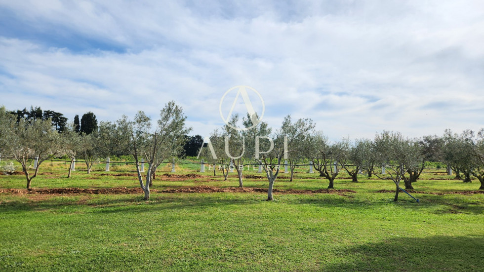 vente Maison Beaucaire - Photo 3