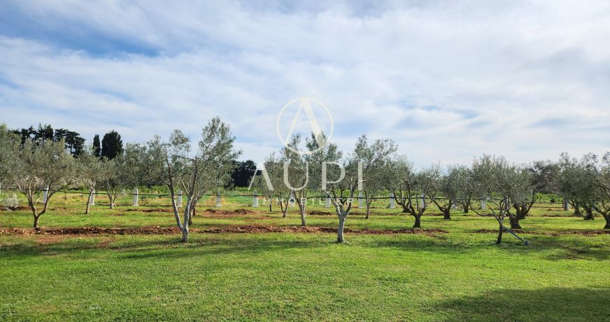 à vendre Maison Beaucaire