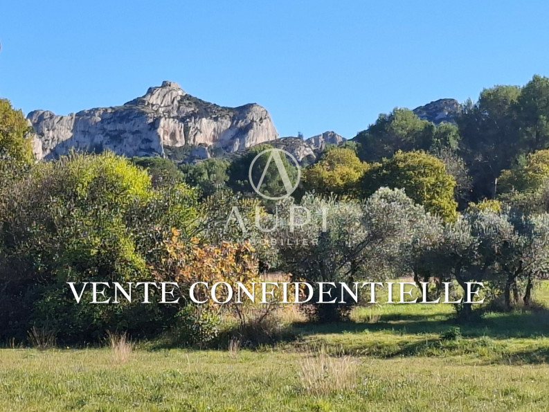 vente Maison Saint Remy De Provence - Photo 1