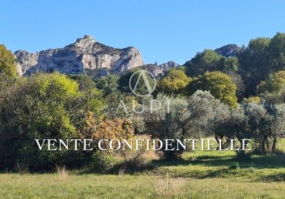 vente Maison Saint Remy De Provence