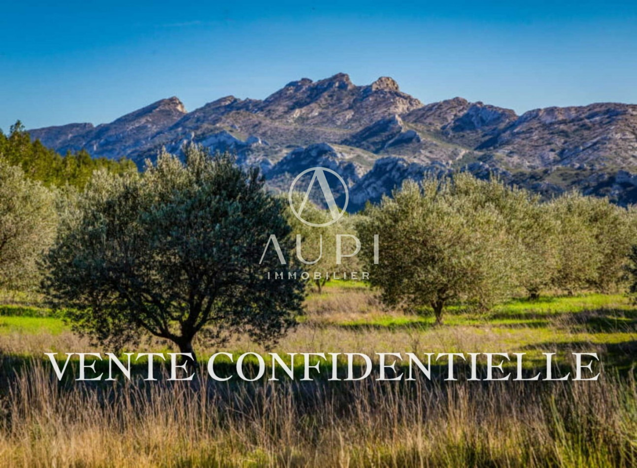 à vendre Maison Saint Remy De Provence - Photo 1