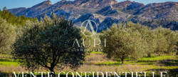 vente Maison Saint Remy De Provence