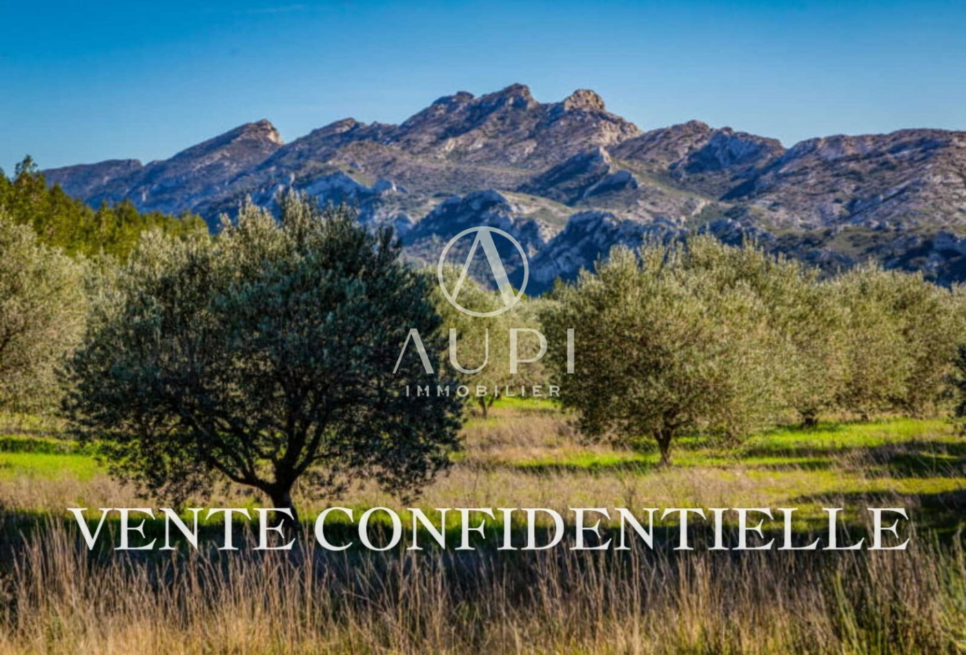 vente Maison Saint Remy De Provence - Photo 1