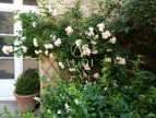 for sale Maison Paradou