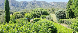 vente Maison Saint Remy De Provence