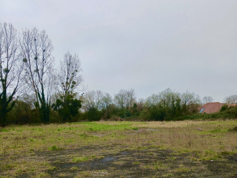 vente Terrain Tourgeville - Photo 3