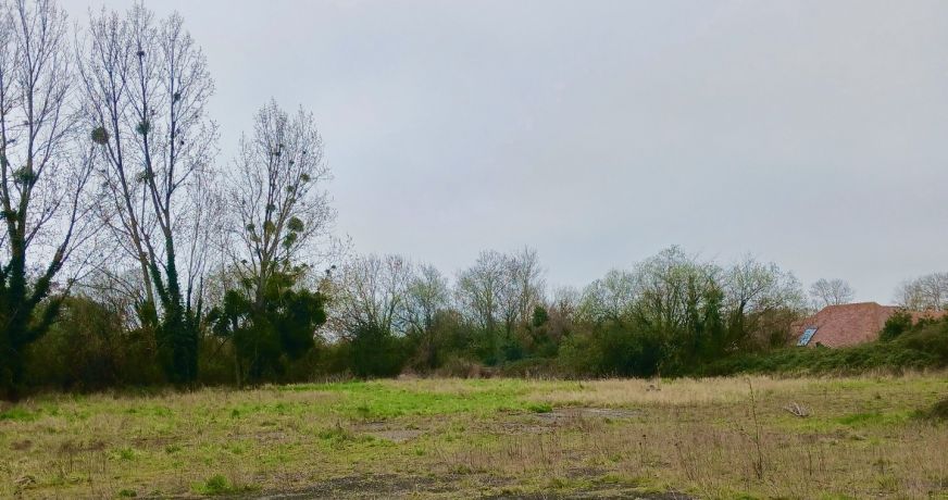 vente Terrain Tourgeville