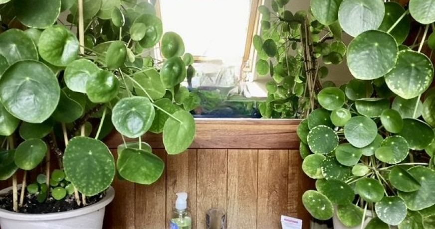 vente Appartement Trouville Sur Mer