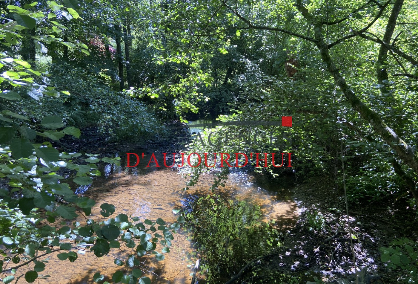 vente Moulin Terres De Druance - Photo 4