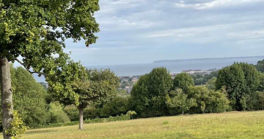 vente Appartement Tourgeville