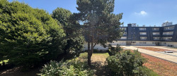 location Appartement Deauville