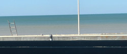 vente Appartement Blonville Sur Mer