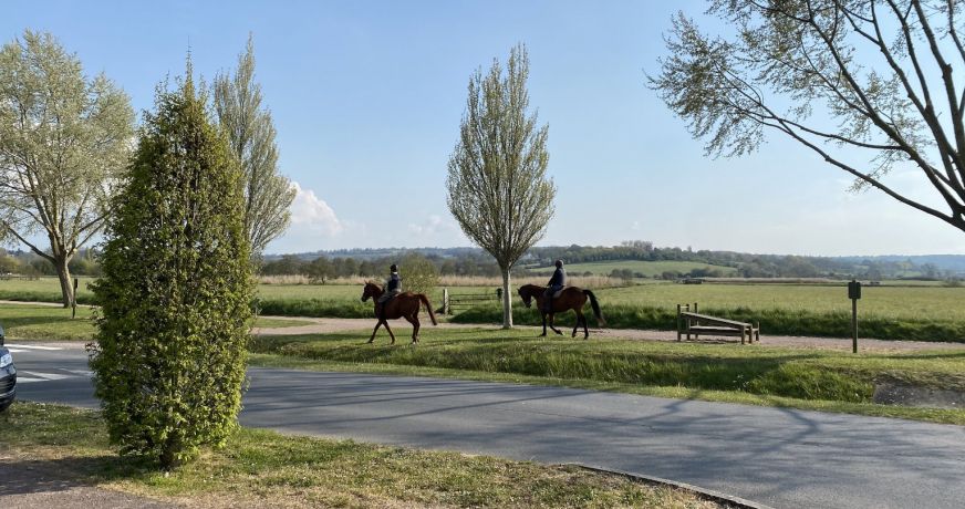 vente Maison Blonville Sur Mer