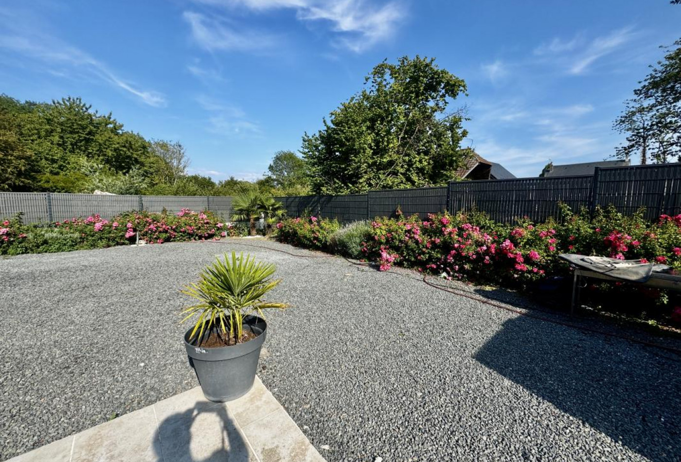vente Maison Auberville - Photo 3
