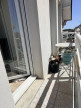 vente Appartement Lion Sur Mer
