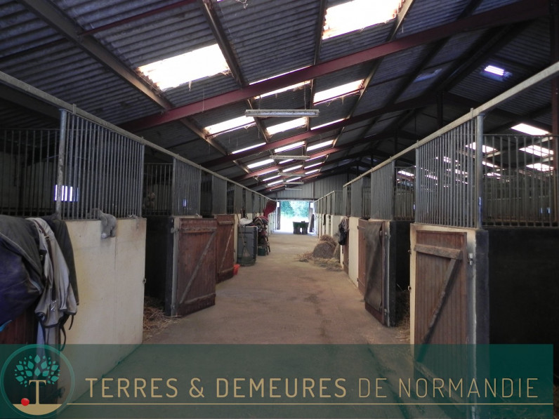 vente Haras / equestre Saint Pierre Des Ifs