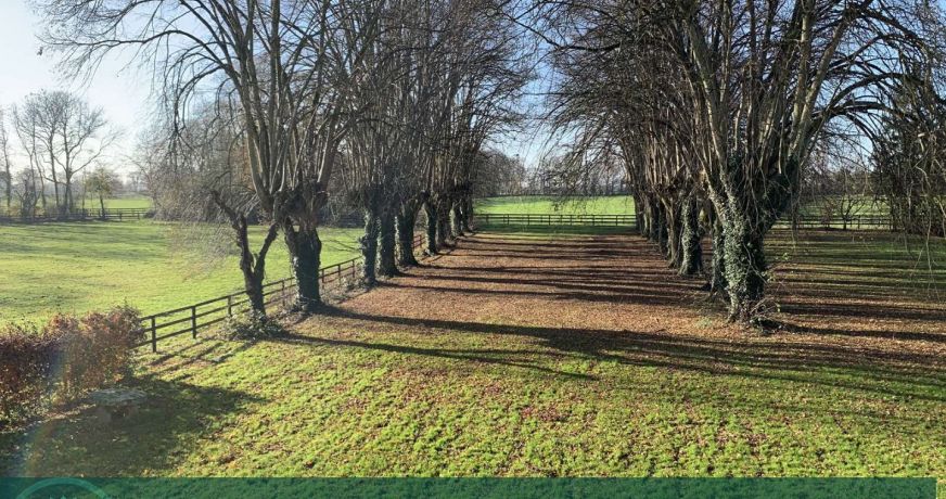 vente Château Orbec