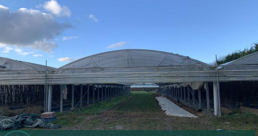 vente Propriété agricole Lisieux