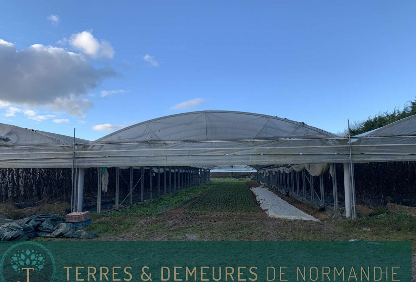 vente Propriété agricole Lisieux - Photo 5