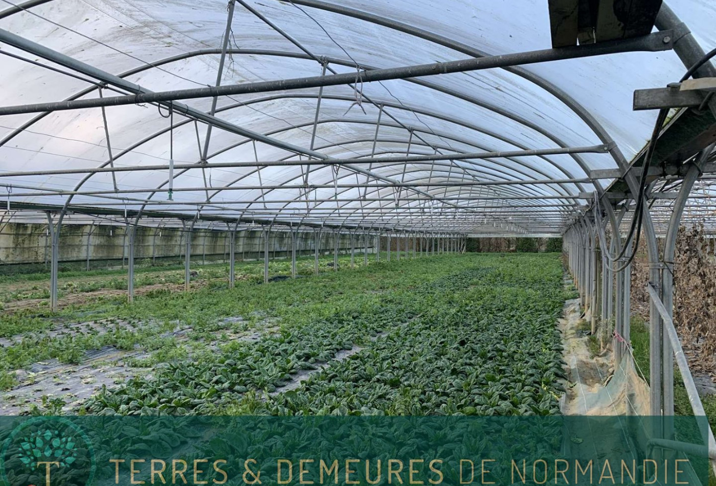 vente Propriété agricole Lisieux - Photo 8