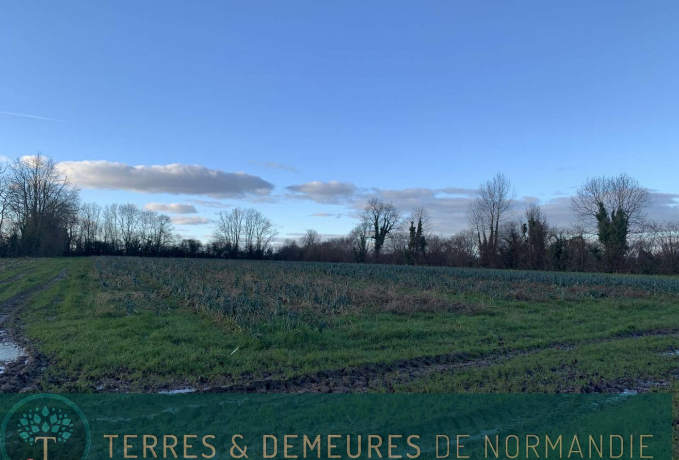 vente Propriété agricole Lisieux - Photo 9