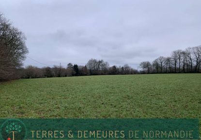 vente Terrain agricole Sourdeval