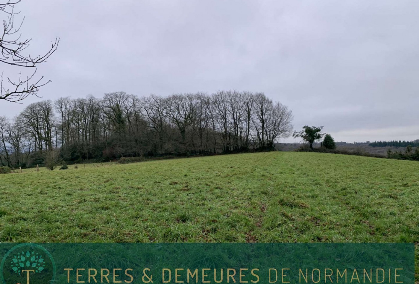 vente Terrain agricole Sourdeval - Photo 5