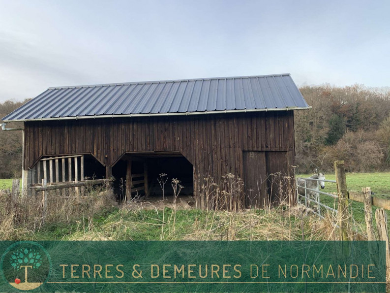 vente Terrain agricole Broglie - Photo 2