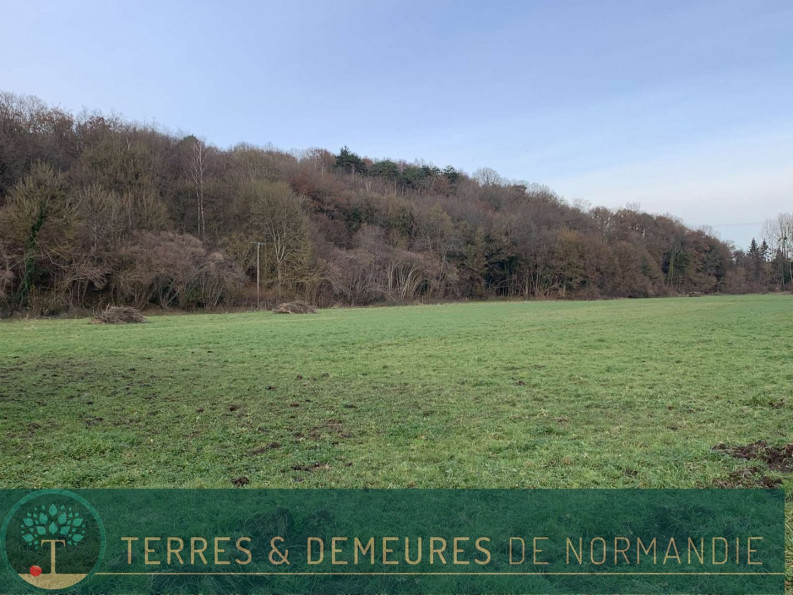 vente Terrain agricole Broglie - Photo 3