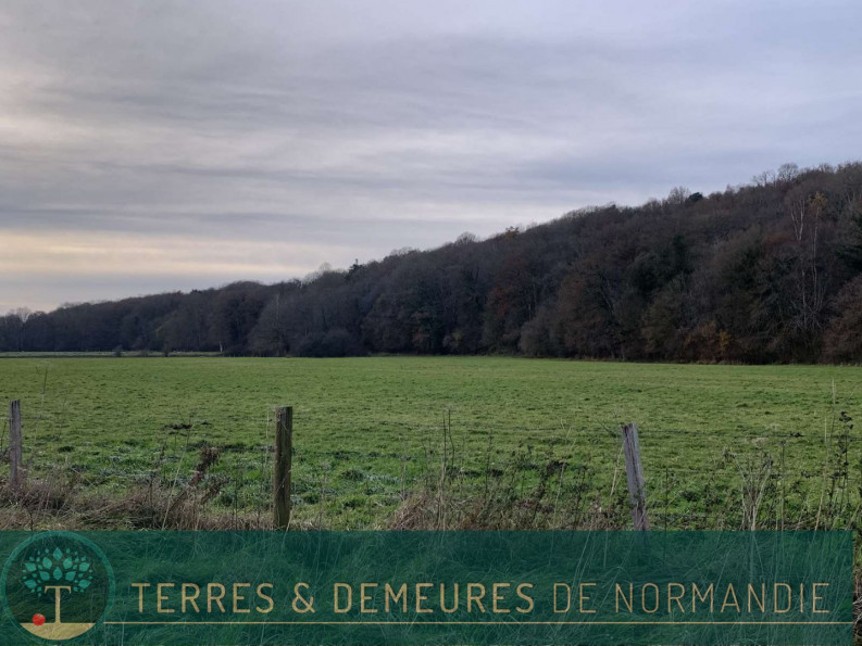 vente Terrain agricole Broglie - Photo 4
