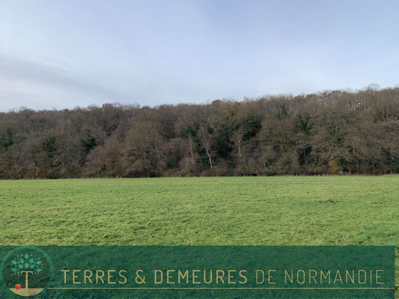 vente Terrain agricole Broglie - Photo 6