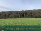 vente Terrain agricole Broglie